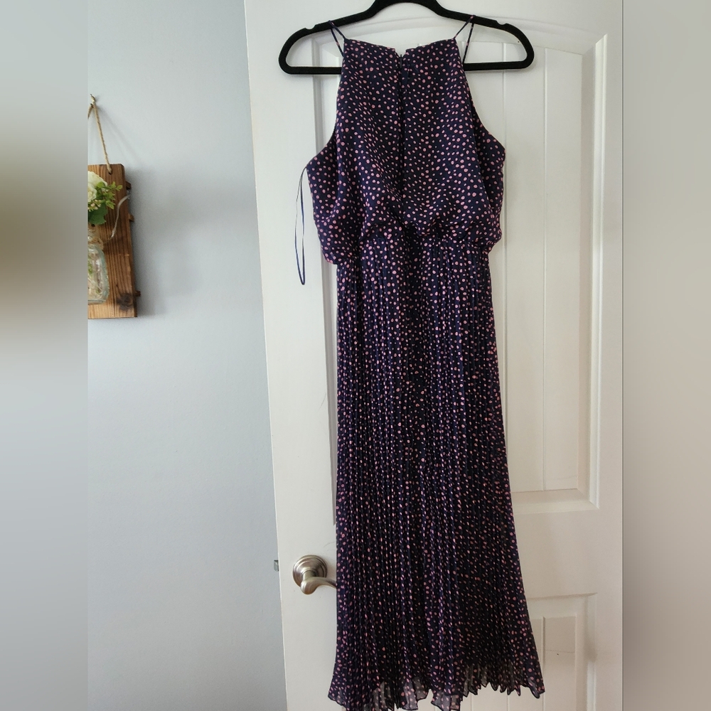 Sam Eldelman Chiffon Navy & Pink Polka Dot Pleted Maxi Dress Size 6 - Picture 5 of 5